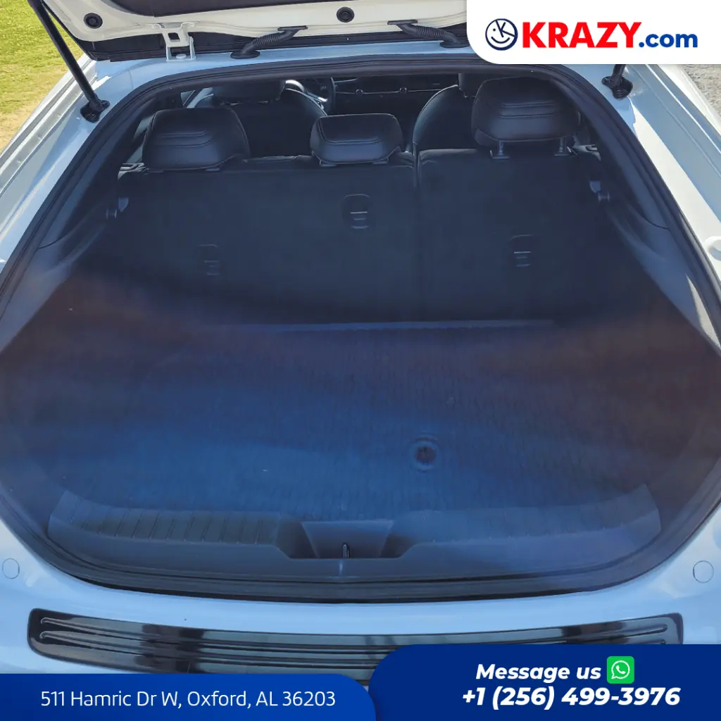 2303_4.1 Trunk.webp