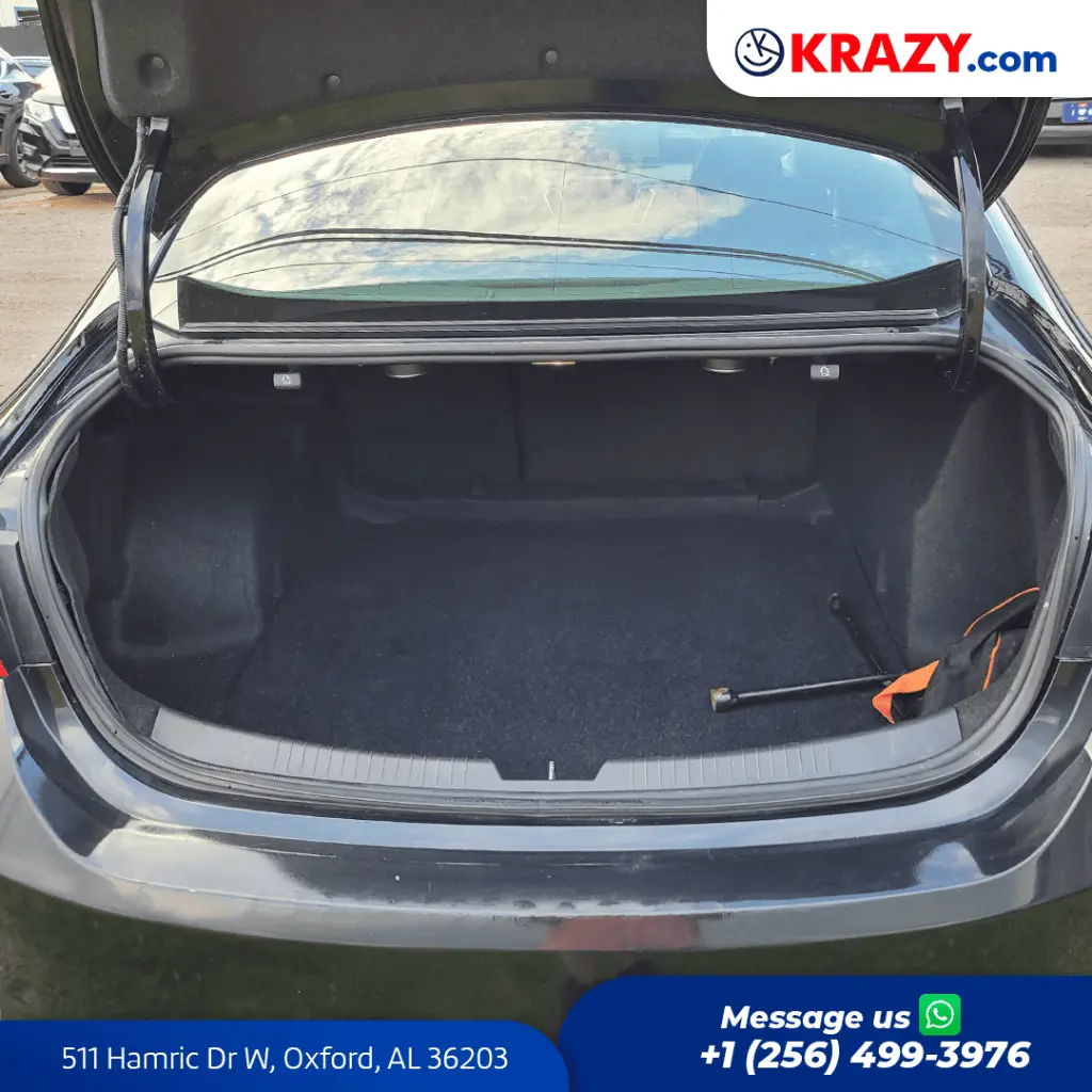 2349_4.1 Trunk.webp