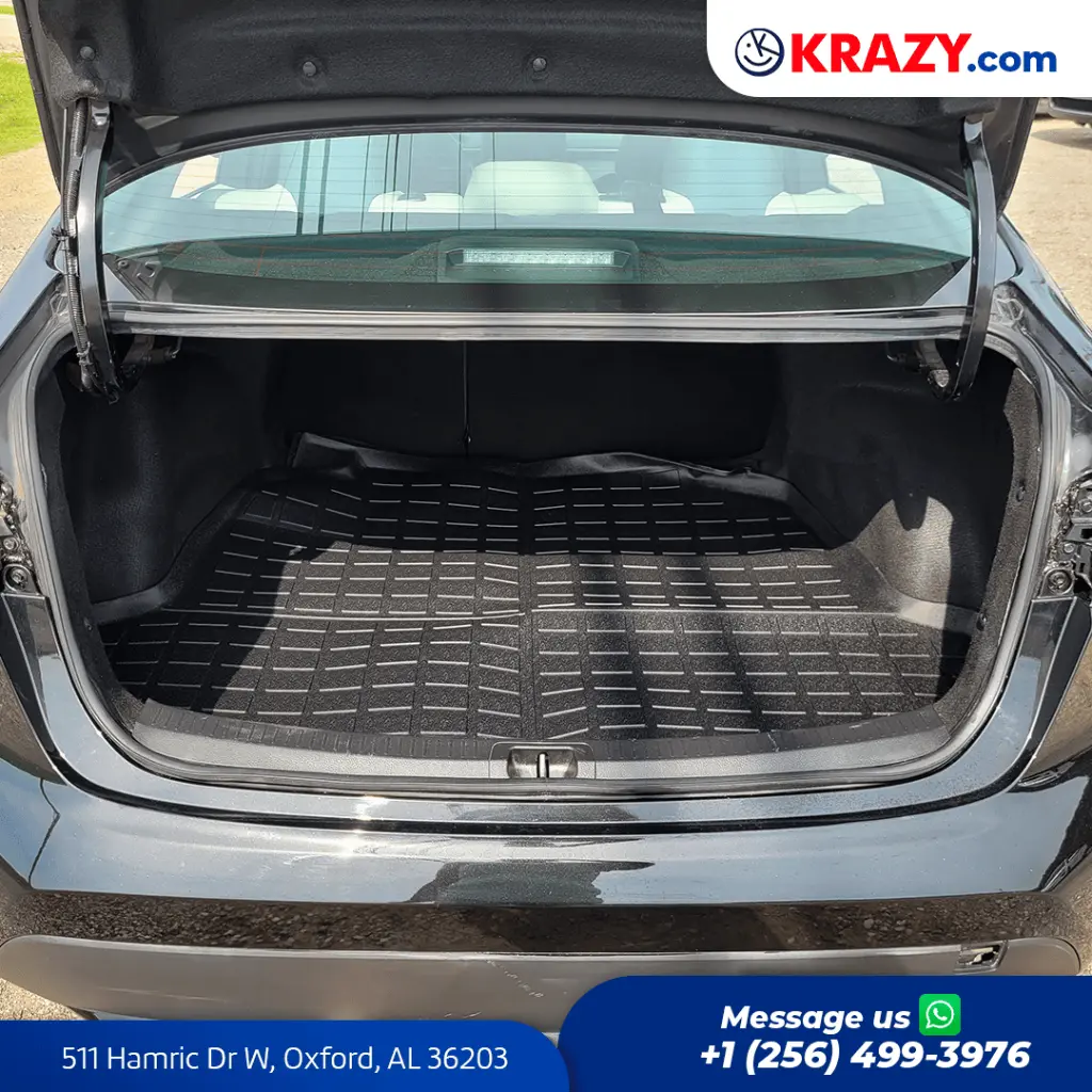 2348_4.1 Trunk.webp