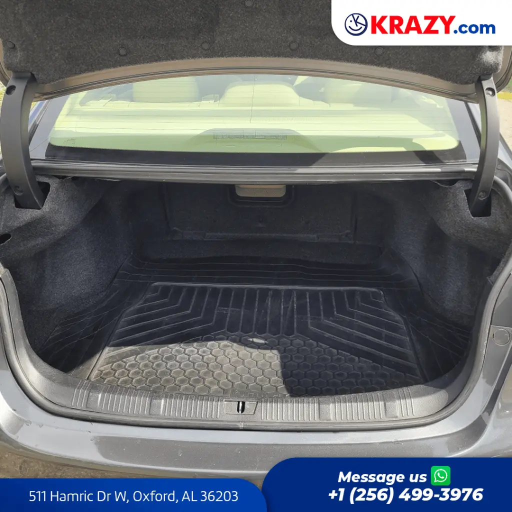 2324_4.1 Trunk.webp