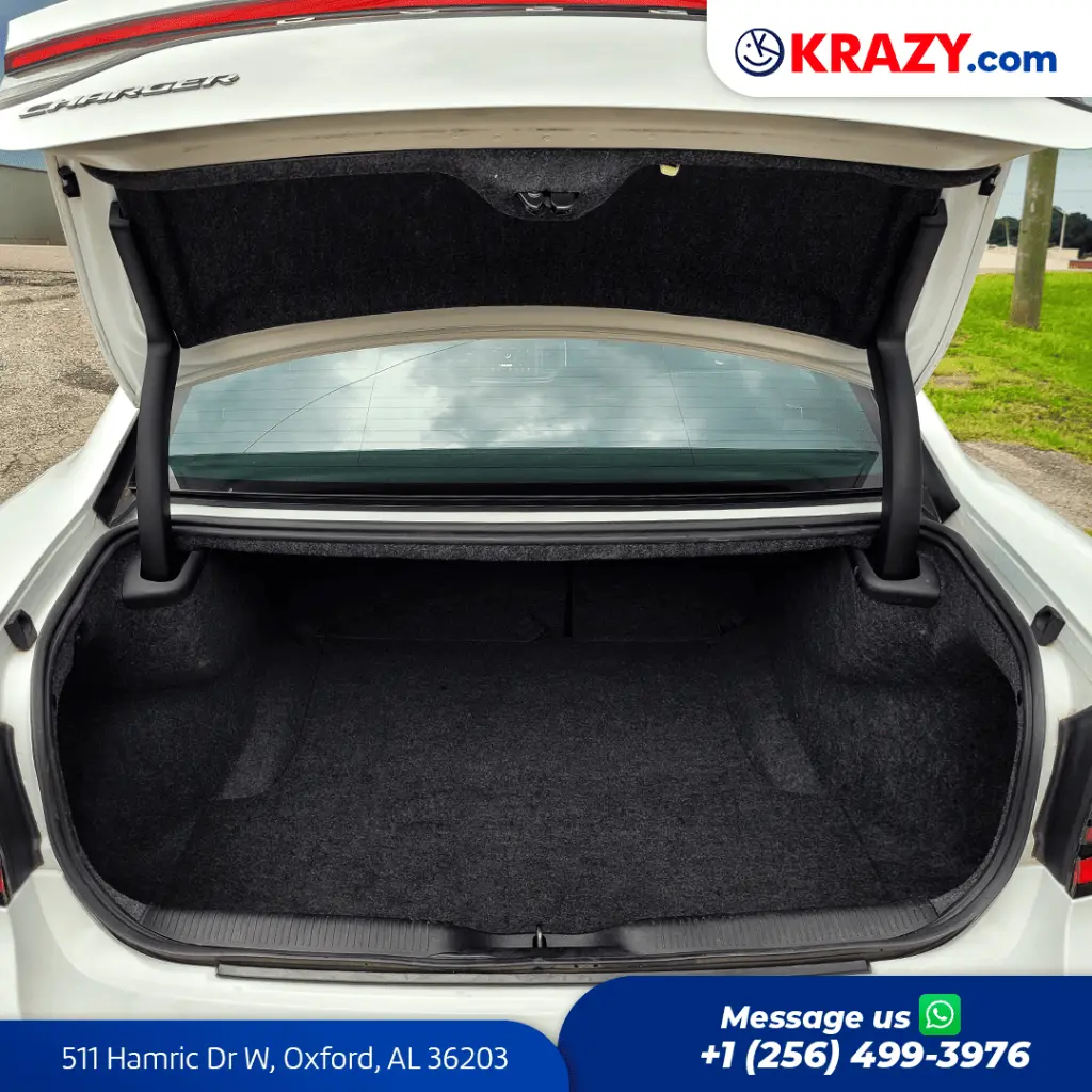 2406_4.1 Trunk.webp
