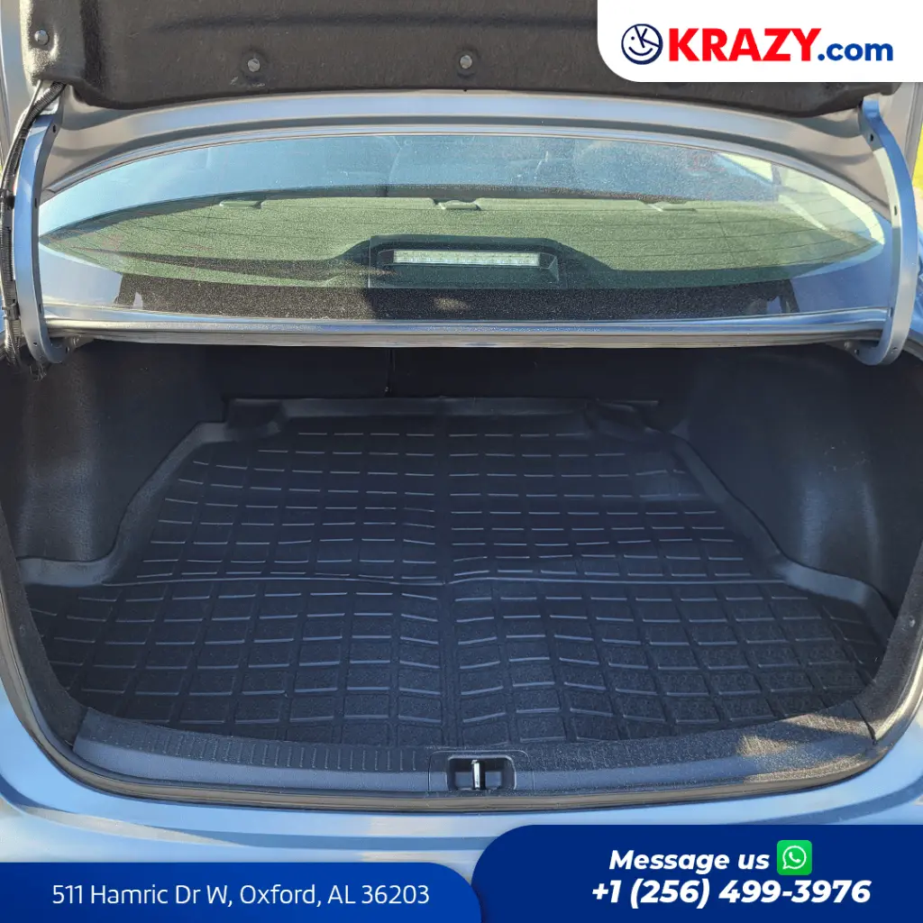2410_4.1 Trunk.webp