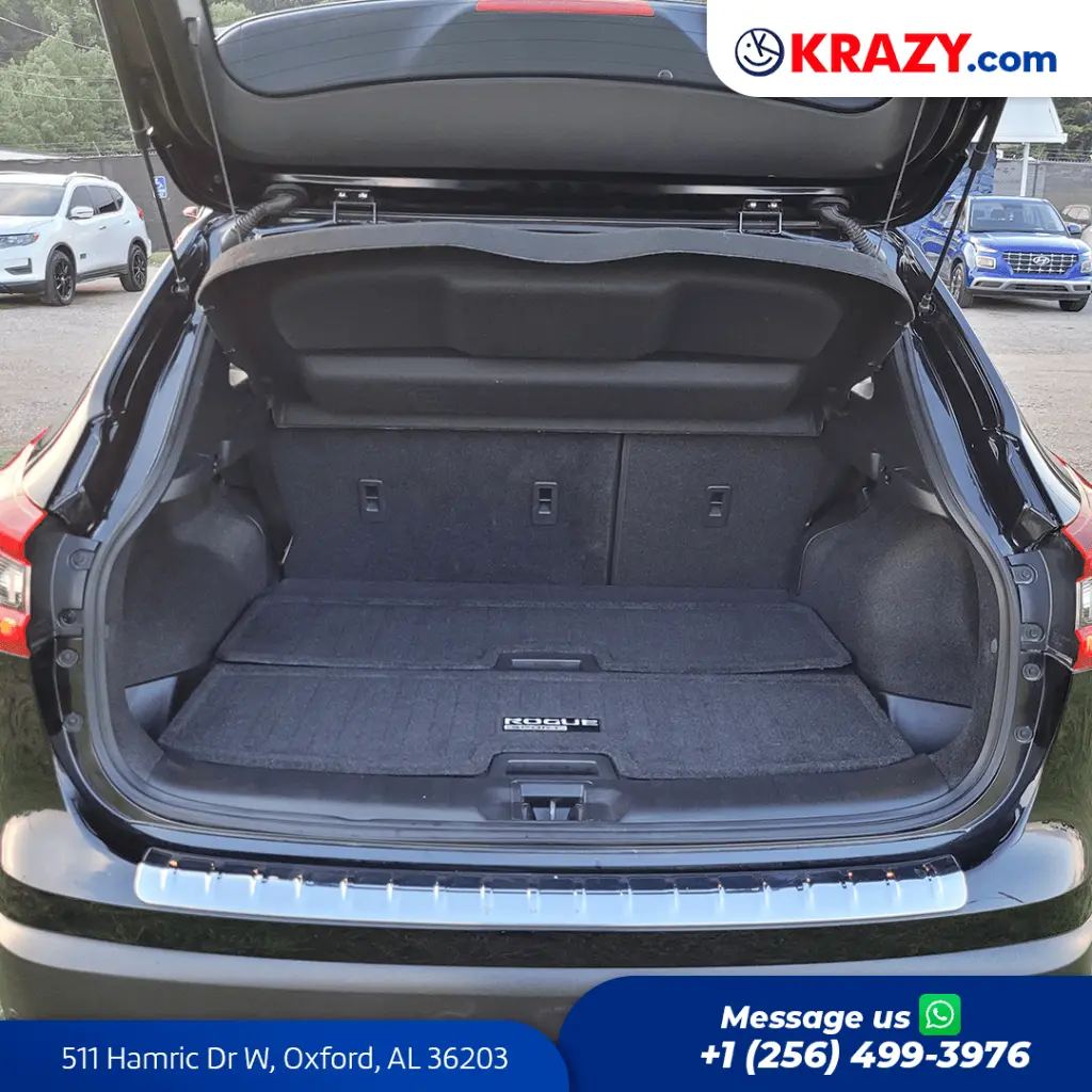 2411_4.1 Trunk.webp