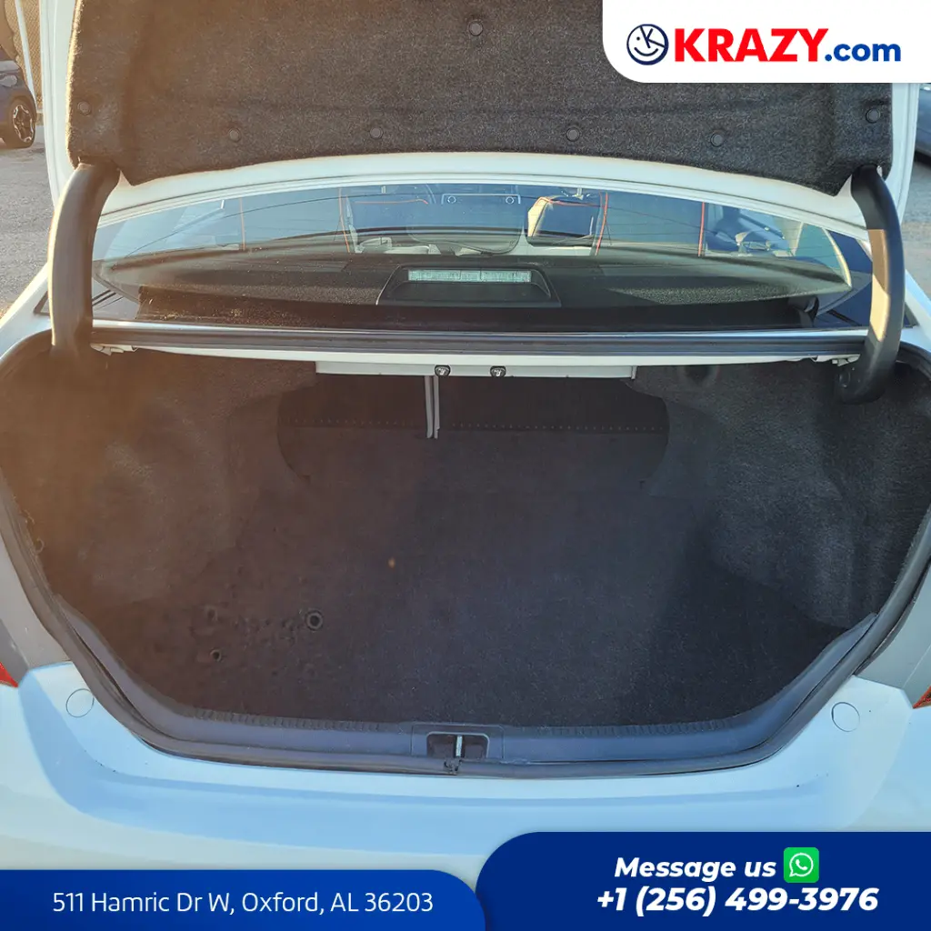 2419_4.1 Trunk.webp
