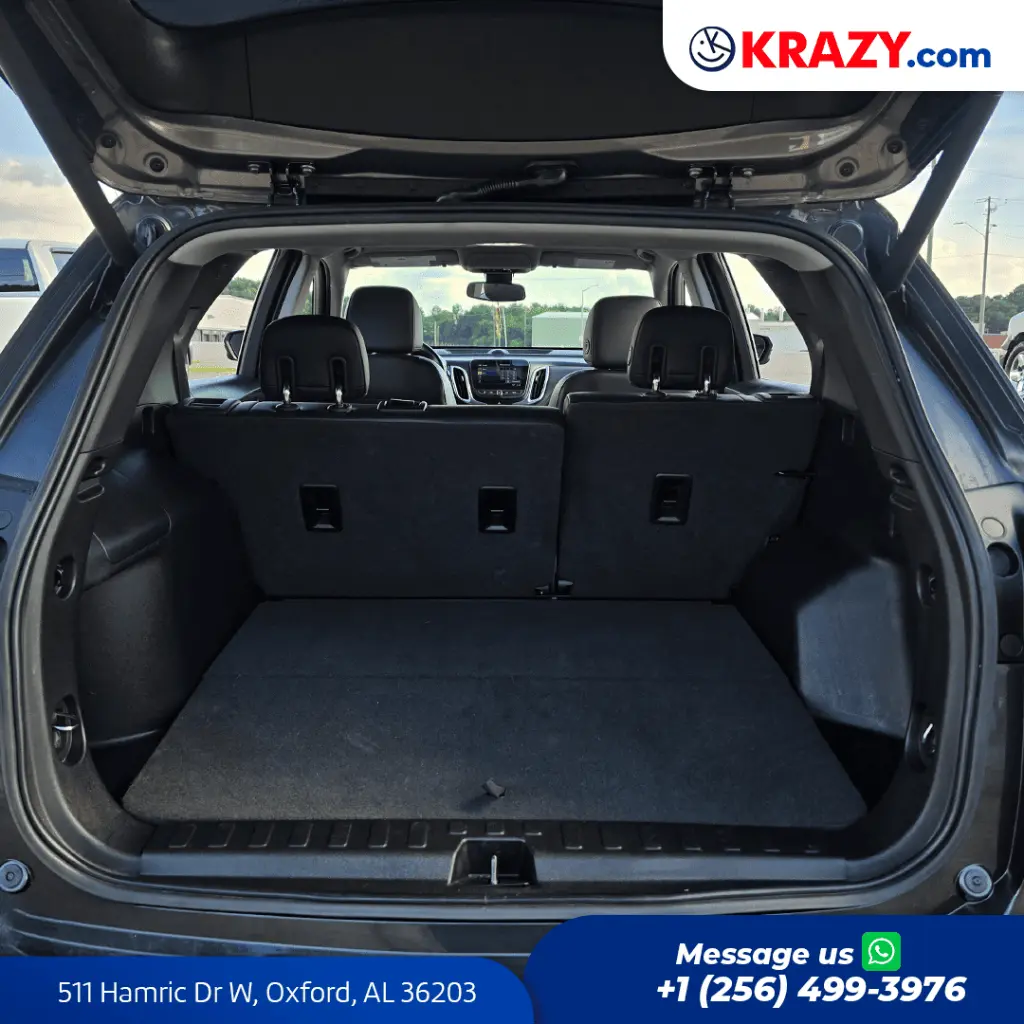 2428_4.1 Trunk.webp