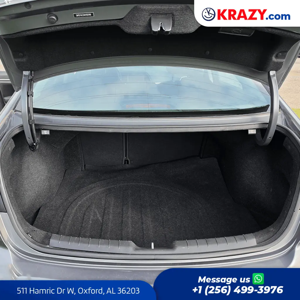 2423_4.1 Trunk.webp