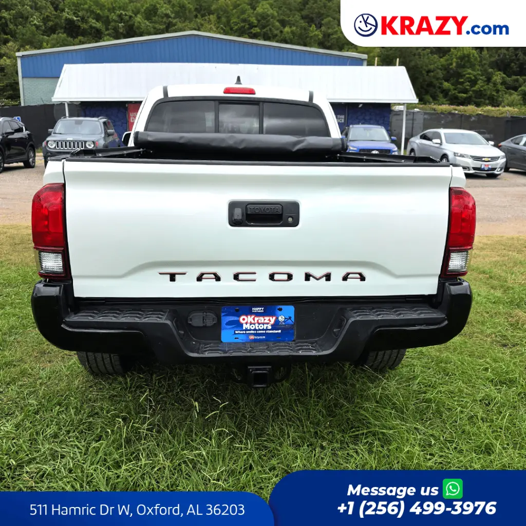 2431_2.1 Rear.webp