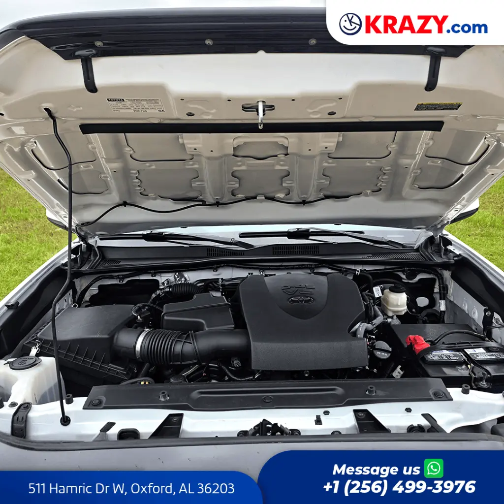 2431_4.2 Motor.webp
