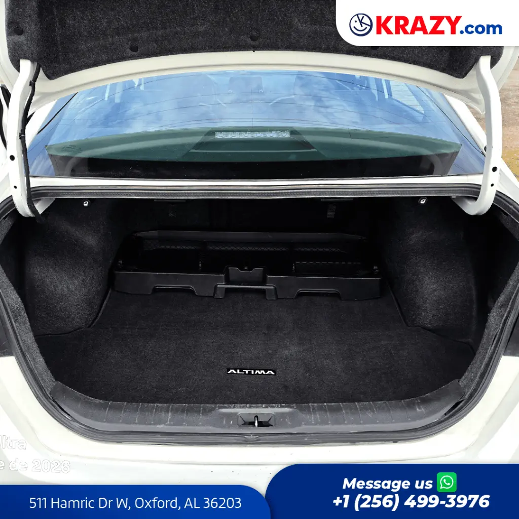 2404_4.1 Trunk.webp