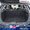 2438_4.1 Trunk.webp