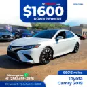 2290 - 2019 Toyota Camry XSE 